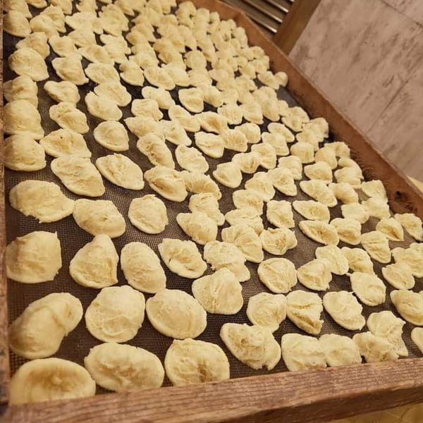 Rows of freshly made, light-colored orecchiette pasta drying on a dark mesh screen in a wooden frame.